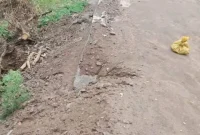 Proyek rabat beton senilai Rp11 miliar di Kecamatan Tanjung Bunga, Kabupaten Flores Timur, kembali menjadi sorotan publik. Pasalnya, hasil pekerjaan yang baru beberapa waktu rampung itu sudah mengalami kerusakan meski hanya diguyur hujan ringan selama sekitar 25 menit.