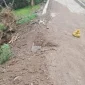 Proyek rabat beton senilai Rp11 miliar di Kecamatan Tanjung Bunga, Kabupaten Flores Timur, kembali menjadi sorotan publik. Pasalnya, hasil pekerjaan yang baru beberapa waktu rampung itu sudah mengalami kerusakan meski hanya diguyur hujan ringan selama sekitar 25 menit.