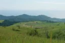 Kawasan Peternakan Sapi di Tanjung Bunga, Kabupaten Flores Timur