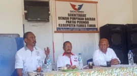 Keterangan Foto: Kiri, Ketua DPD Partai Perindo Kabupaten Flores Timur, Plasidus Fernandez, berkacamata. Kanan, Anggota DPRD Kabupaten Flores Timur, Yakobus Mikhael Krizik Basa Lewar, S.Kep., mengenakan baju putih.